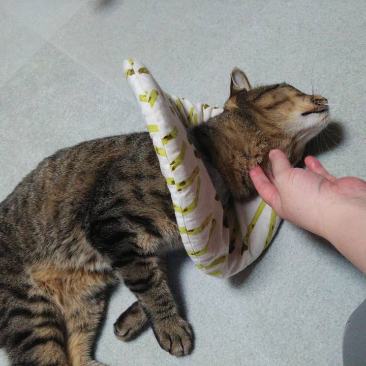 22d572ee 0483 4e83 b100 9a58f1f7ed60 1725441604253