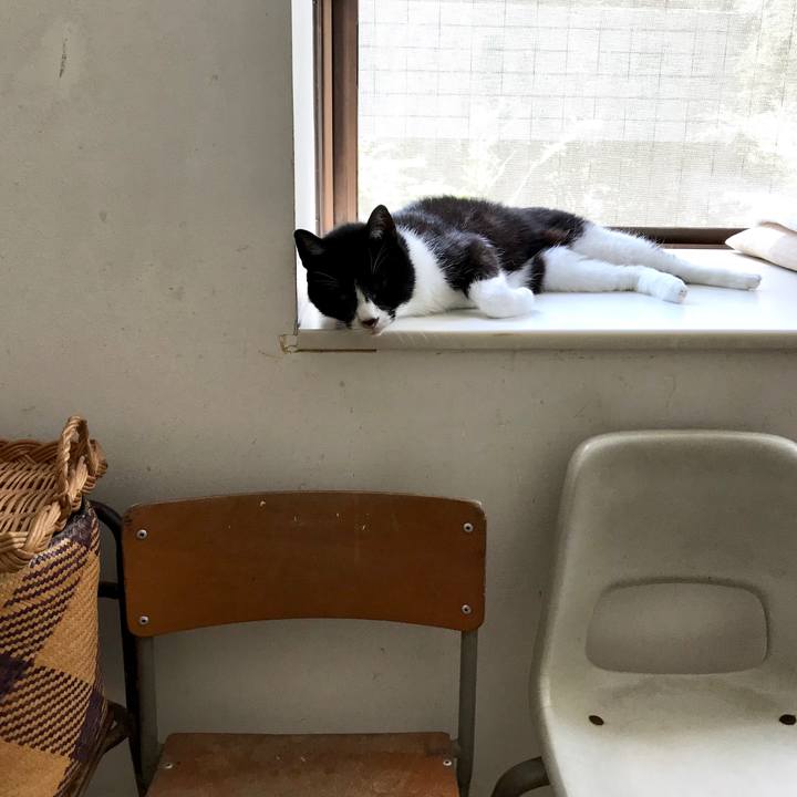 22d576e9 e964 4c50 88c6 b33c73f24936 1557626399148