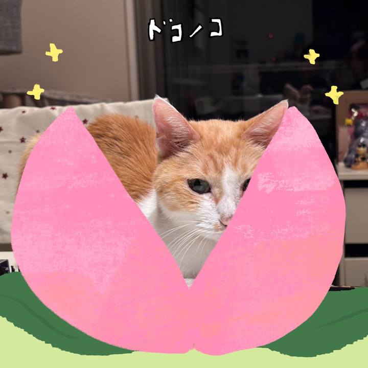 22d5916e f5db 4148 9209 8138287d248d 1771855139222