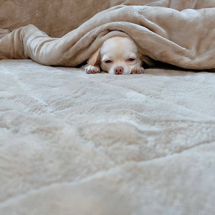 22d5a2cd 51c4 49fd 847e 058c222ea5ec 1612228118218