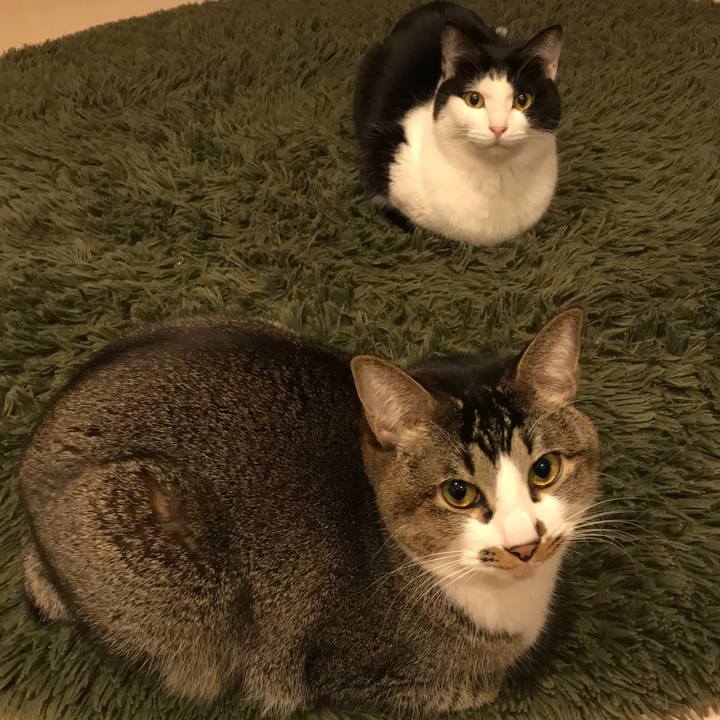 22d5b525 e98b 4541 a1f0 c9a4f7280a25 1517214051263