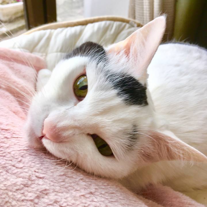 22d5f22d dac2 45d7 a0d2 30aa1d1fe477 1554610878073