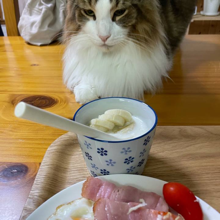 22d5fd46 2e55 4dcf bc57 1c9fd5005139 1696539575737