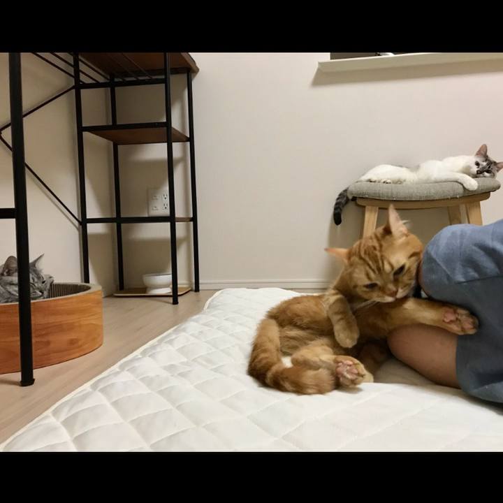 22d641a7 0dbd 4129 b903 f463dd9e36b3 1530403878495