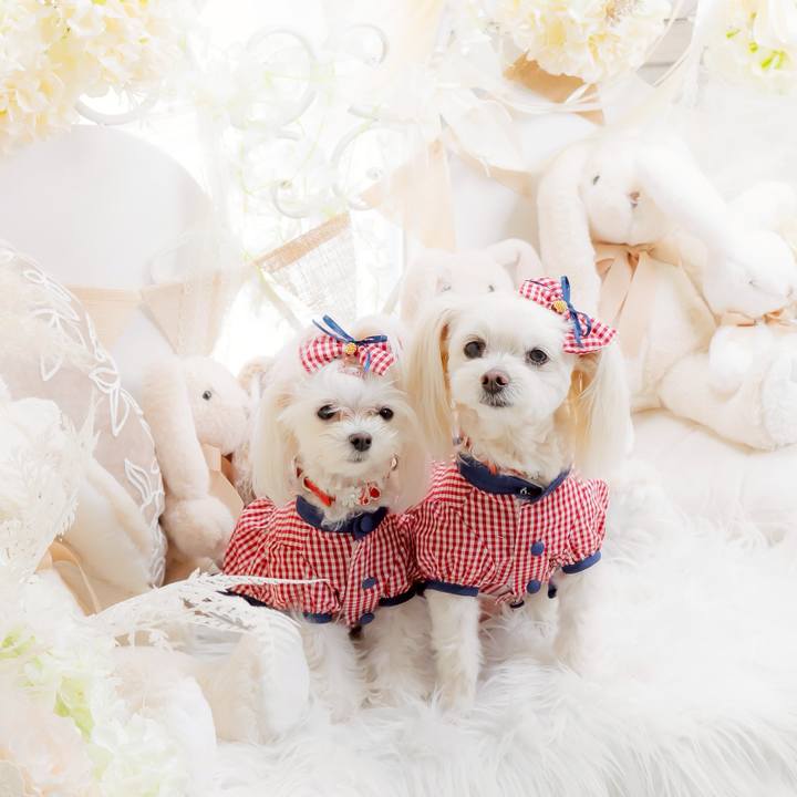 22d64ca8 69b4 4a1b bbc0 16a2367da189 1773565790828