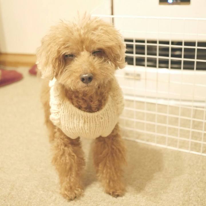 22d660db 9daf 4470 8807 8db1b50034fe 1511431364967