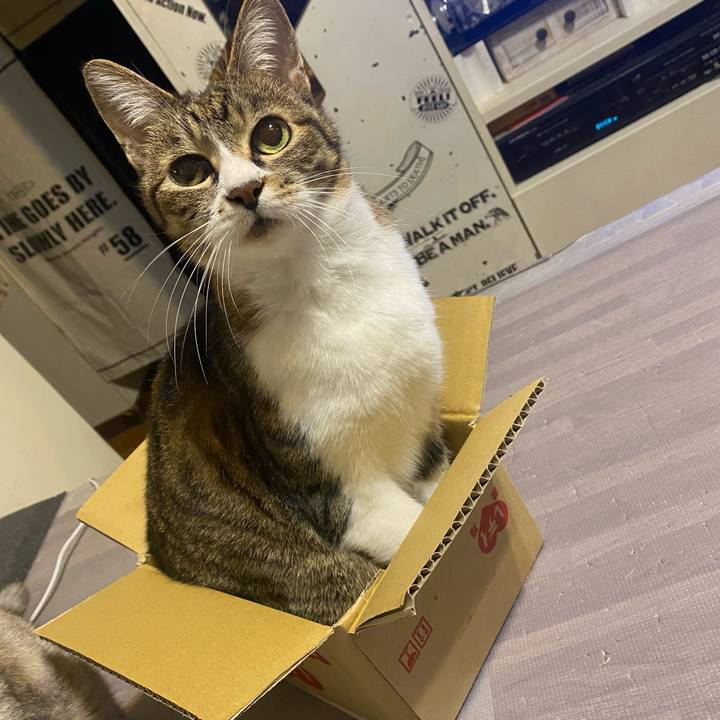 22d66780 c961 4d0d 9f35 141151378979 1621699639345