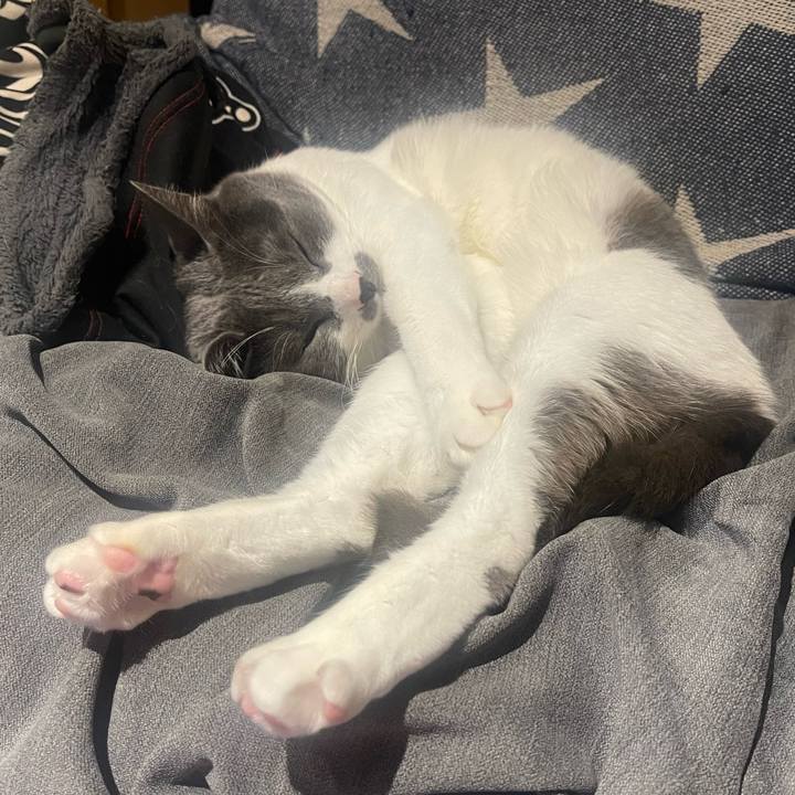 22d68d7e 605b 4521 987e 306eab4d19b5 1649512012661