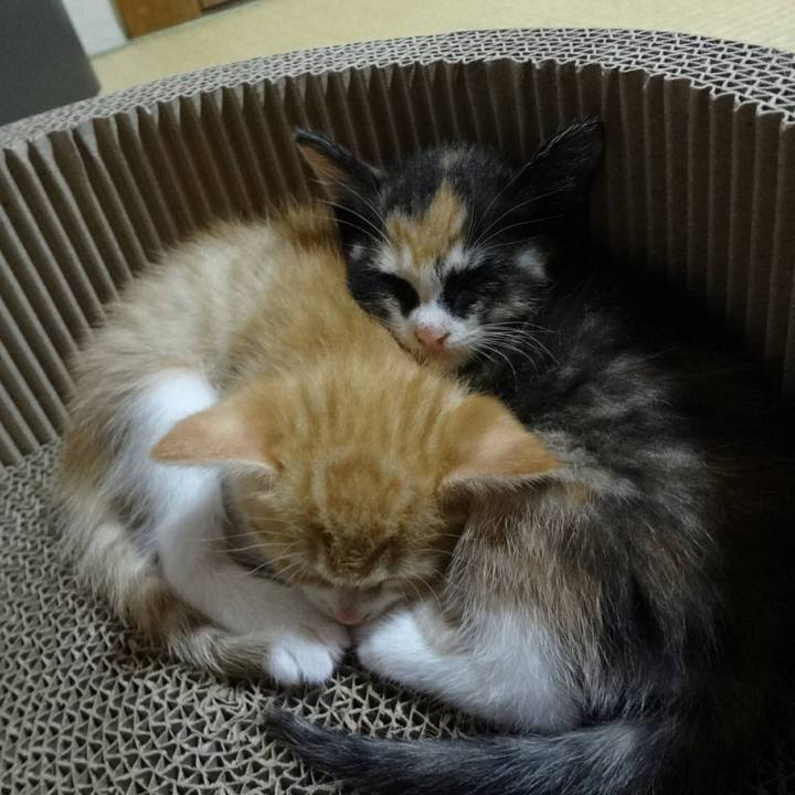 22d6a6b3 744d 49bf ac80 316b51ecc770 1557063503026