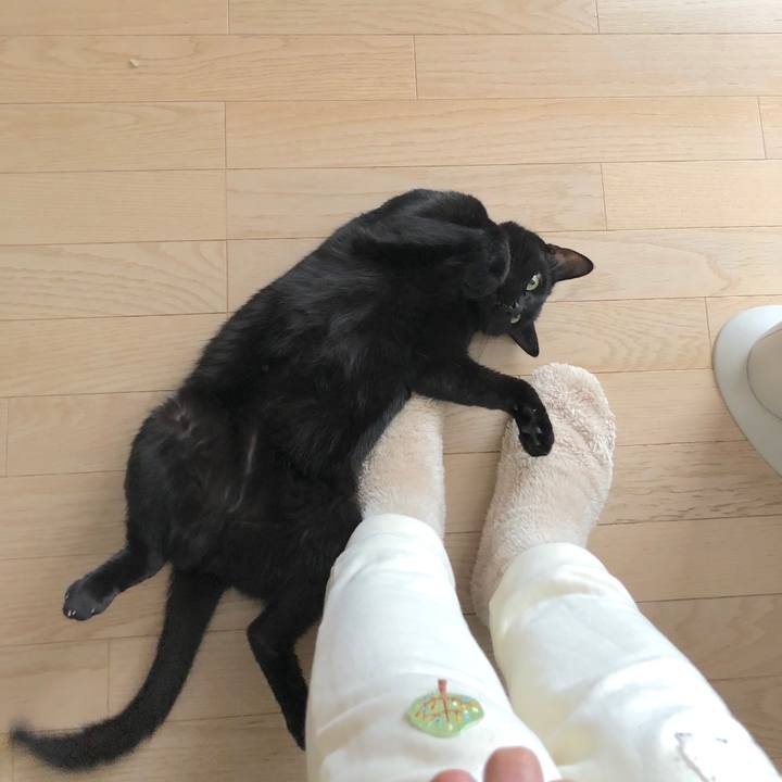 22d6d06b 92c1 43a1 beff dbd09a06dae4 1519534328370