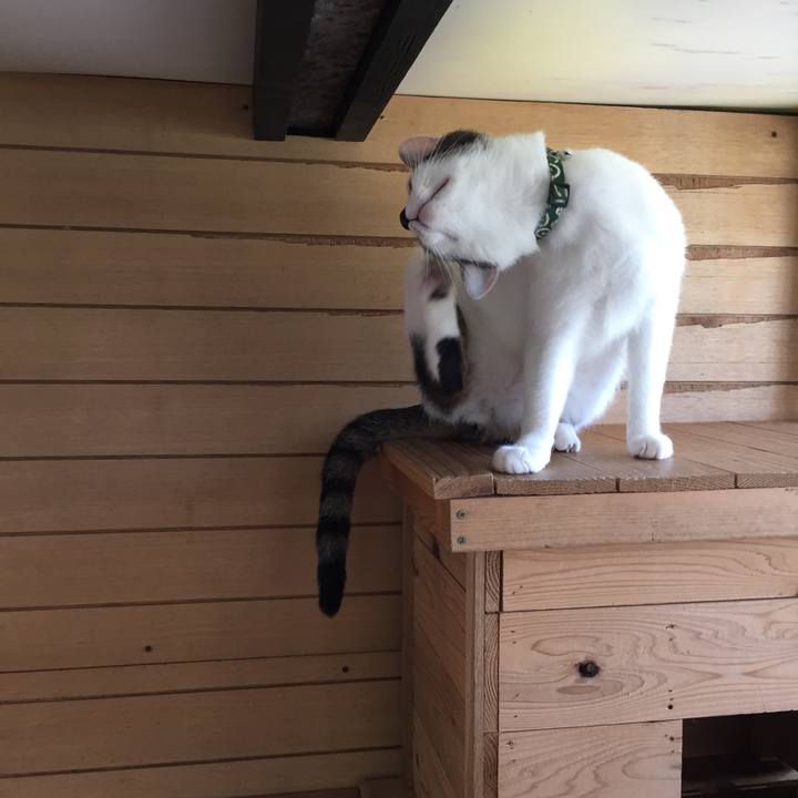 22d6eef2 90d0 4c08 8133 cd8eaf09c8a4 1558504512118