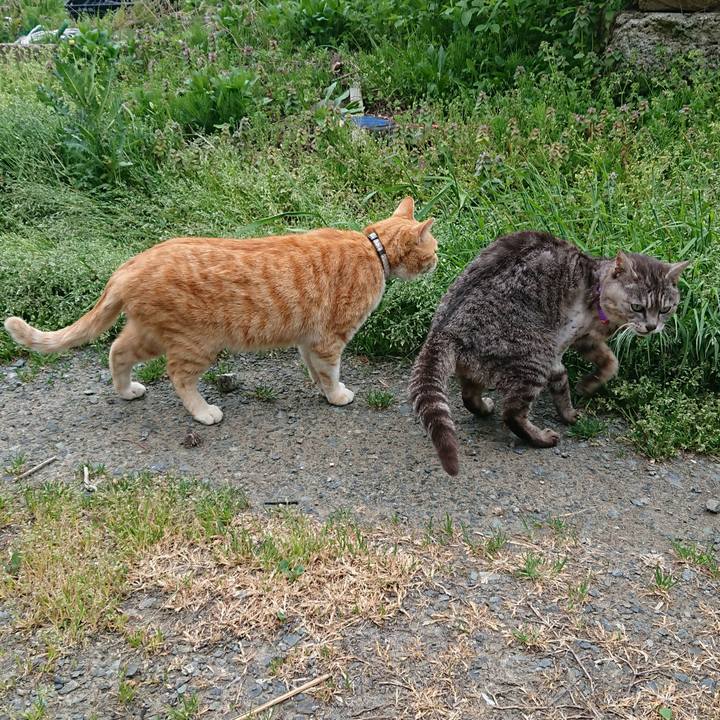 22d71472 a429 49c8 b828 5bee004bf500 1588749422645