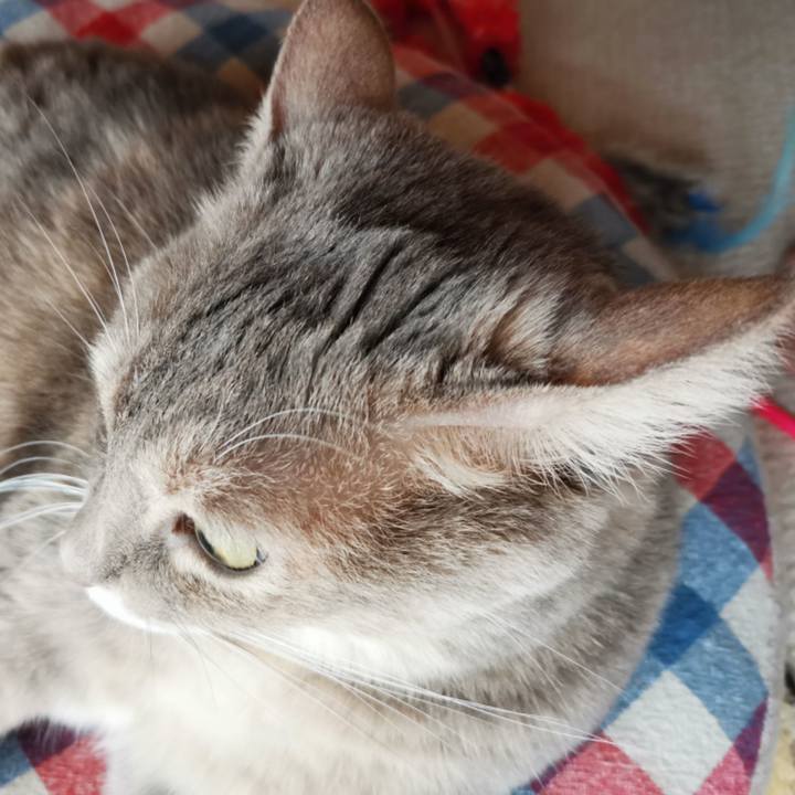 22d72d0b b9b8 4e20 98ef cafd4656739a 1602404125173