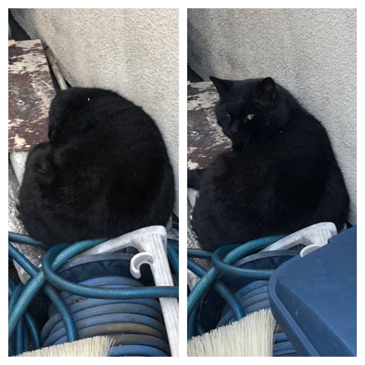 22d76567 a4fd 4f9c a6ac b91f17370c96 1543421244512