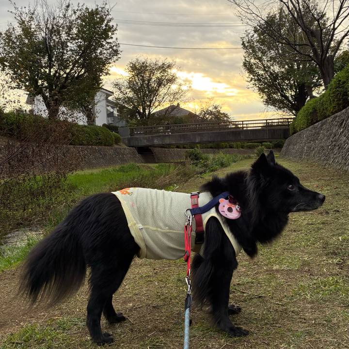 22d76de5 9c28 4538 bfb0 8312640079fb 1761696214724