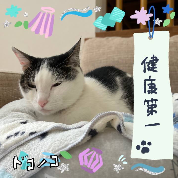 22d78a5d 171c 4828 ab9b 5c940787f9de 1721172321068