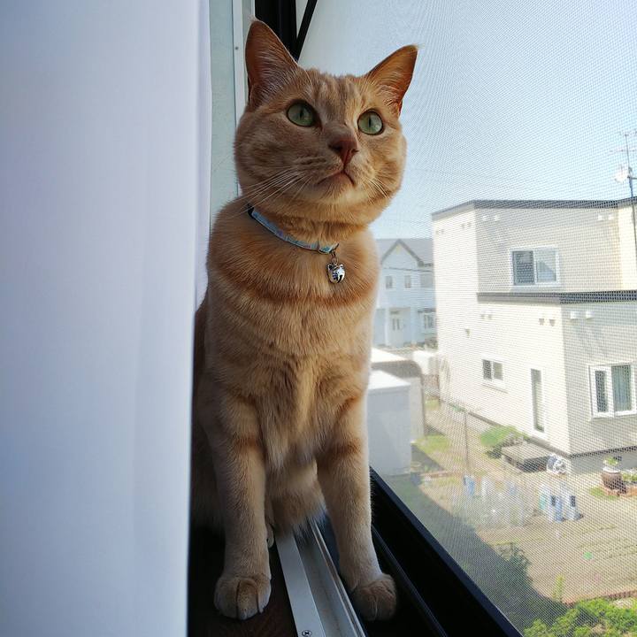 22d7bfde 0768 40ea 9ef6 715730b4c1fc 1623296317143