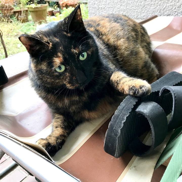 22d7f33c c1b2 495f a8a3 6b4257af86be 1512019689117