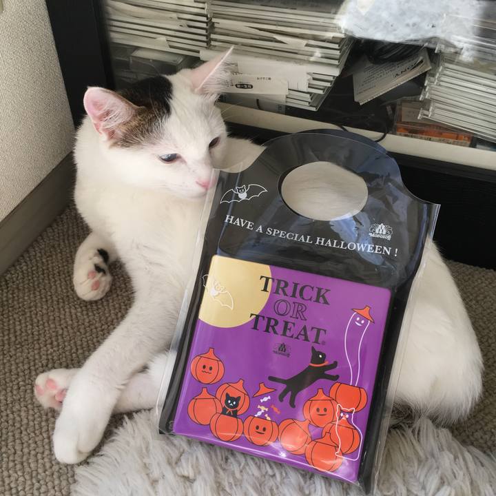 22d81971 c2d3 477e 81e8 910c9de2deac 1508889566943