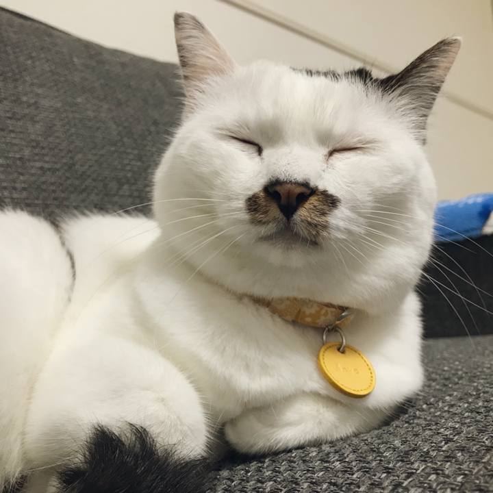 22d81e4a 8cb5 4550 a121 70fe7bac601e 1537505514081