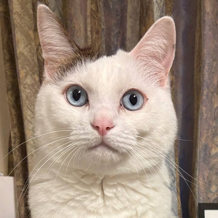 22d85969 b59b 4482 ab3f 2a7a1896bed7 1768437440079