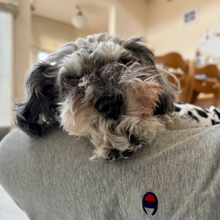 22d86737 778d 401e 8410 d7f698701b45 1766279568353