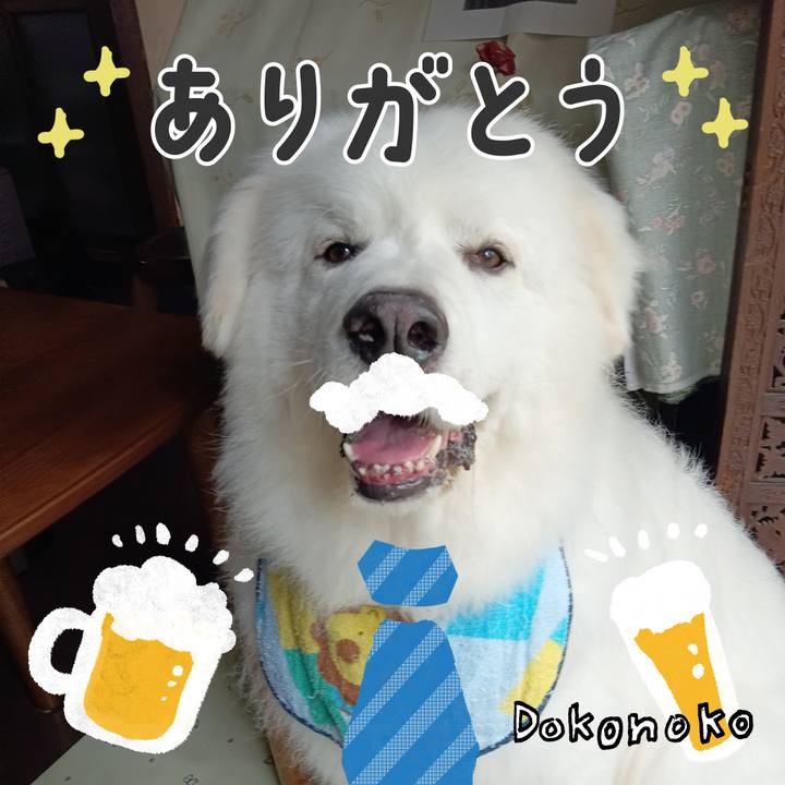 22d87cc8 d1a0 47a2 bad1 7ec84256eed4 1717639161250