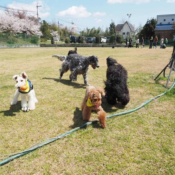 22d88efa c93e 455f ac9c 1a52b82ba74d 1554940765346