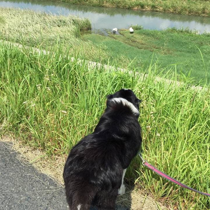 22d8c3fc 4a4b 465a 8c26 26ad699fd1dd 1532310812864