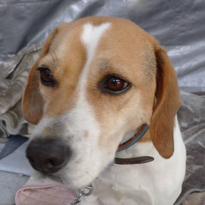 22d8eca9 13b6 4c57 9726 c0aca11baaf4 1612929306431