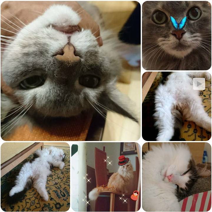 22d92a3c 5f10 435b aaab 140c3a840eea 1568543937626