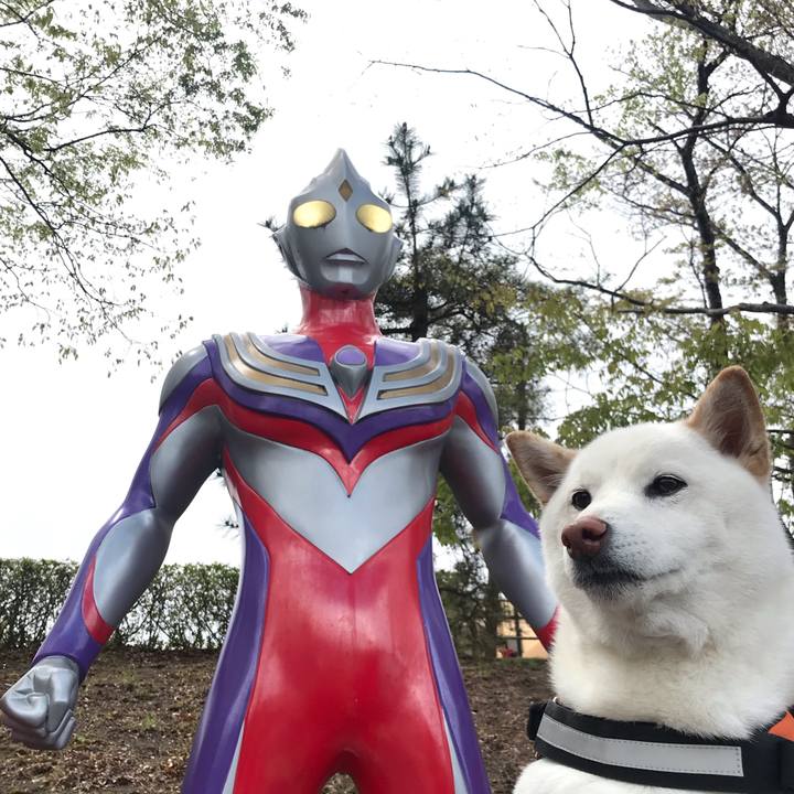 22d93bab 423b 4486 abe9 b75f929c4e20 1556338412251