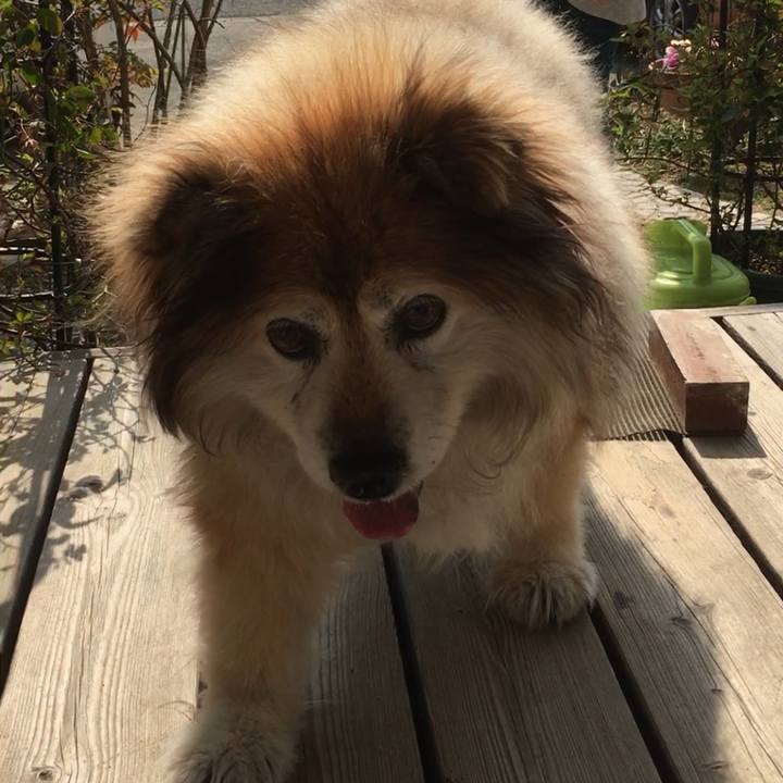 22d94858 9ab1 4390 b787 9bf4e0dc2834 1643449820098