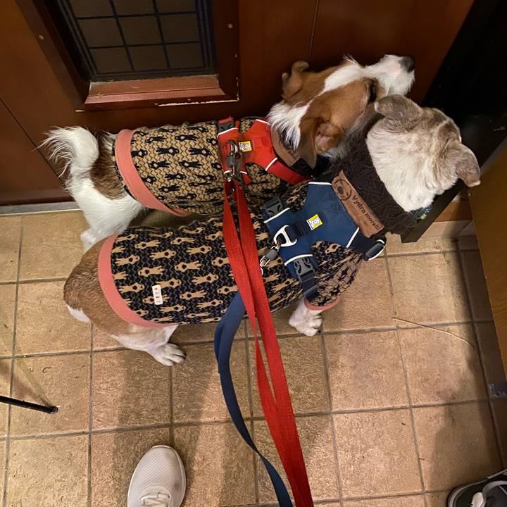 22d95299 66fa 45b5 990b fcad83f35f29 1674769377900