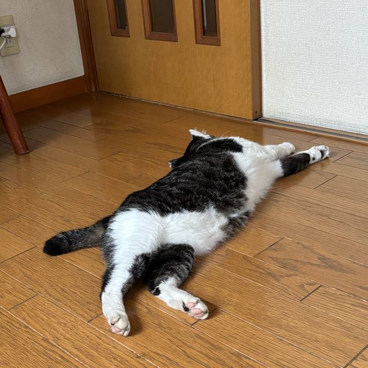 22d97519 7f89 44fc be4e 5dd962bd1cb9 1752576157963