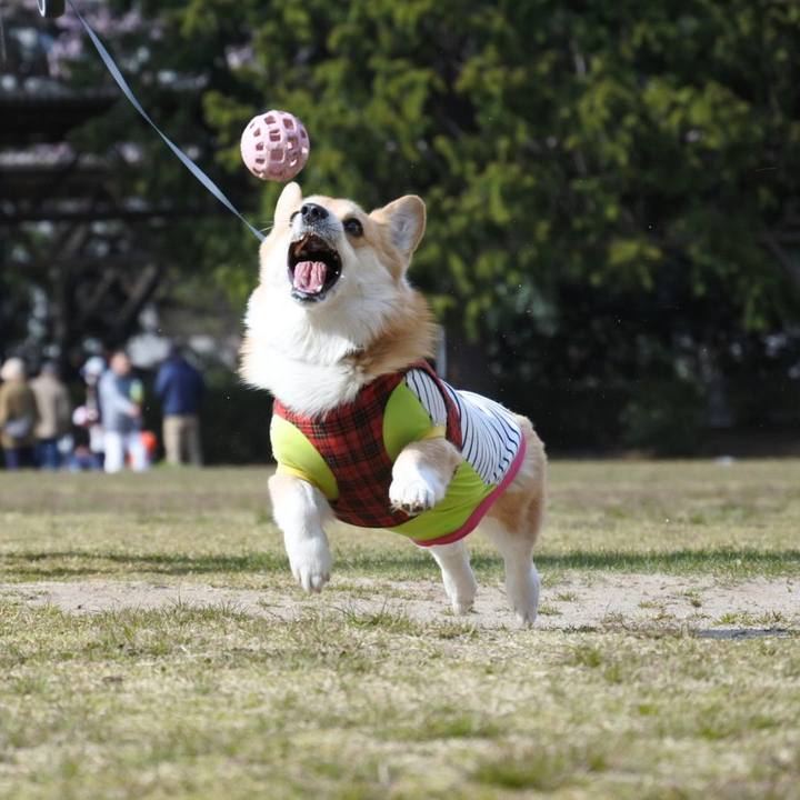 22d98176 a74c 4dac 90ca a501c754f00e 1554775034943