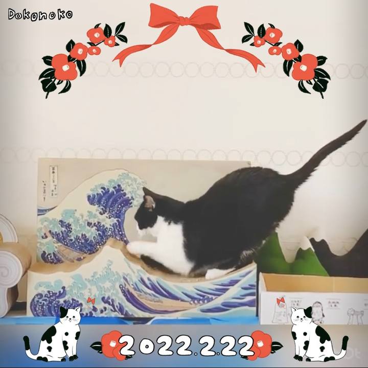 22d985ed a3e1 4916 b20e edac156da2be 1645529134366