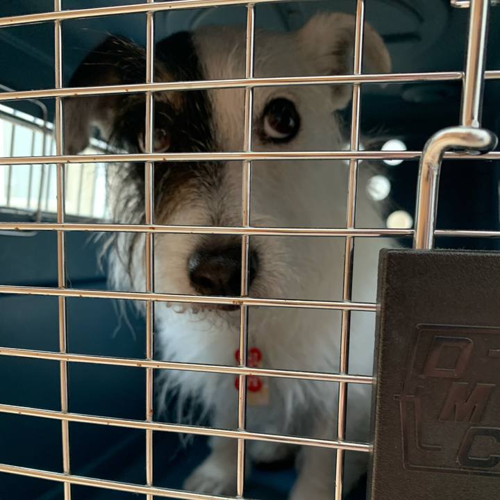 22d99b8d 660b 4a41 a539 0b3e3554f438 1686799454305