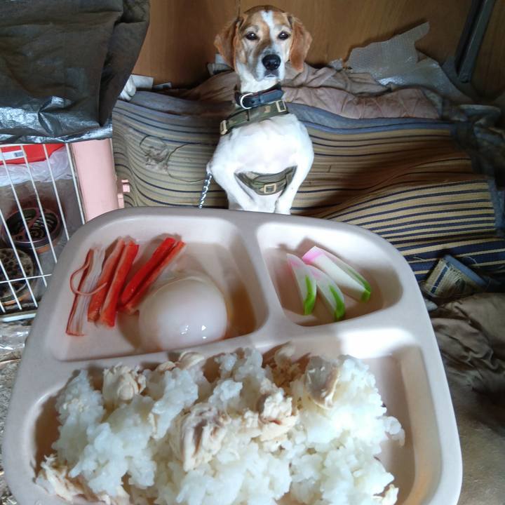 22d9b62c 9ee1 4b05 964e c47e8fc9a485 1718016534752