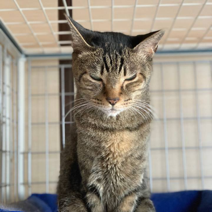 22d9b70b 5fed 4cc2 935f 1b2e051402ed 1571272683710