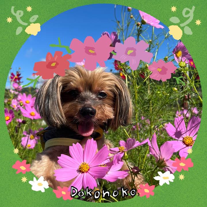 22da0794 8a6b 491d 92c0 a6aa148ee3ad 1726827539713