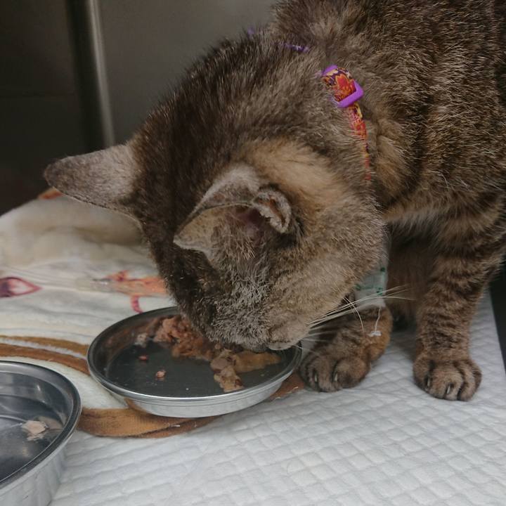 22da22cd 636d 40d8 b827 ee3cf5a56e4c 1597743152042