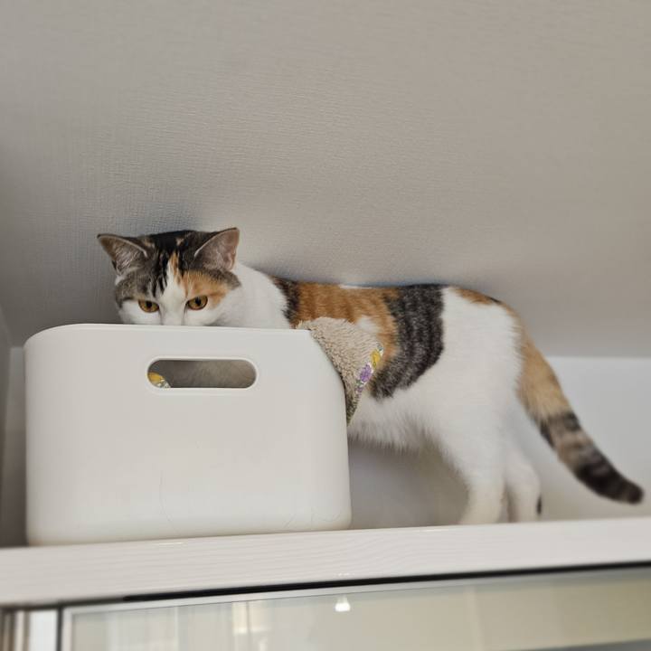 22da3097 2b2a 4f6f a394 5eb175f926a5 1773277519265