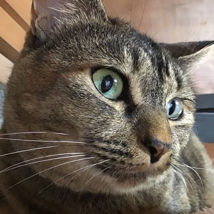 22da8f54 2836 42cb bb88 648e89391710 1693830136537