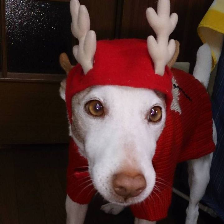 22dace7f 23fb 4af9 b059 3bb20f0fcbe6 1766582097821