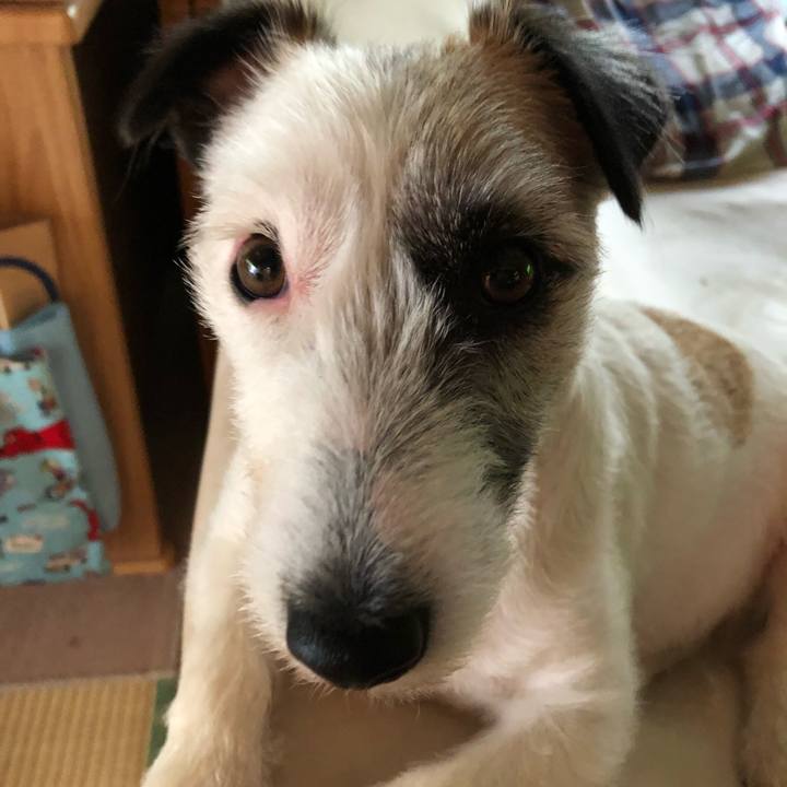 22db7777 de4f 4757 9eb6 fd36c3ea27dd 1560842914195