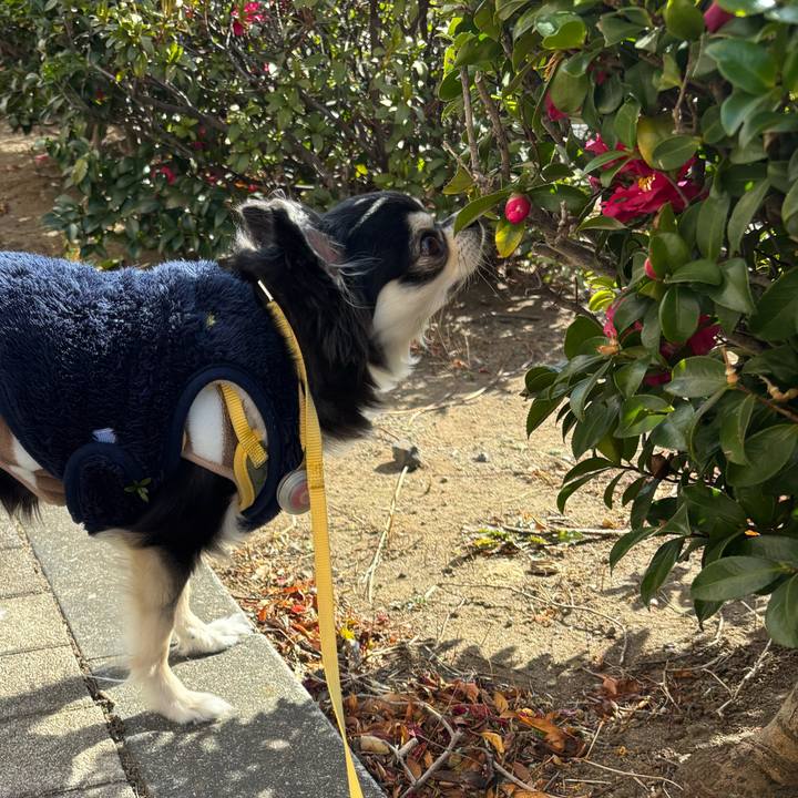 22db7edc c31e 412c 9f26 0a9d0a46cb9c 1739722564440