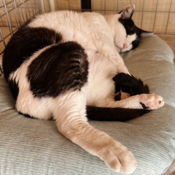 22db872e 4df8 49f6 ae77 fa081c654e57 1688090556918