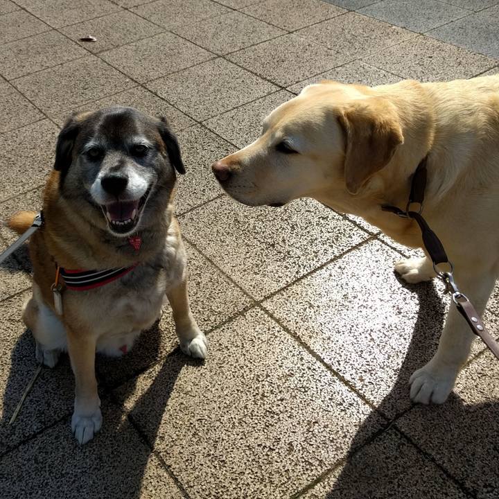 22dbabbd abf1 4f55 8ba7 c3ee30054b4e 1724226624953