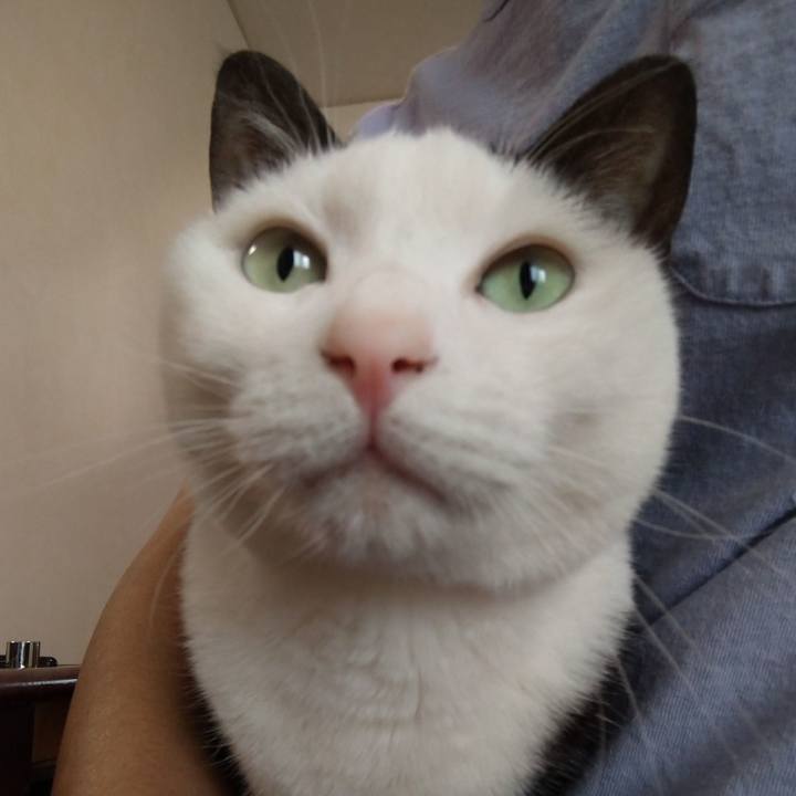 22dbc0cf 717b 4b05 ae5e 7e24d4a11df4 1588904973986